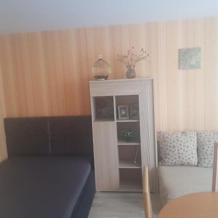 Danes Apartment By The River Klaipeda Bagian luar foto