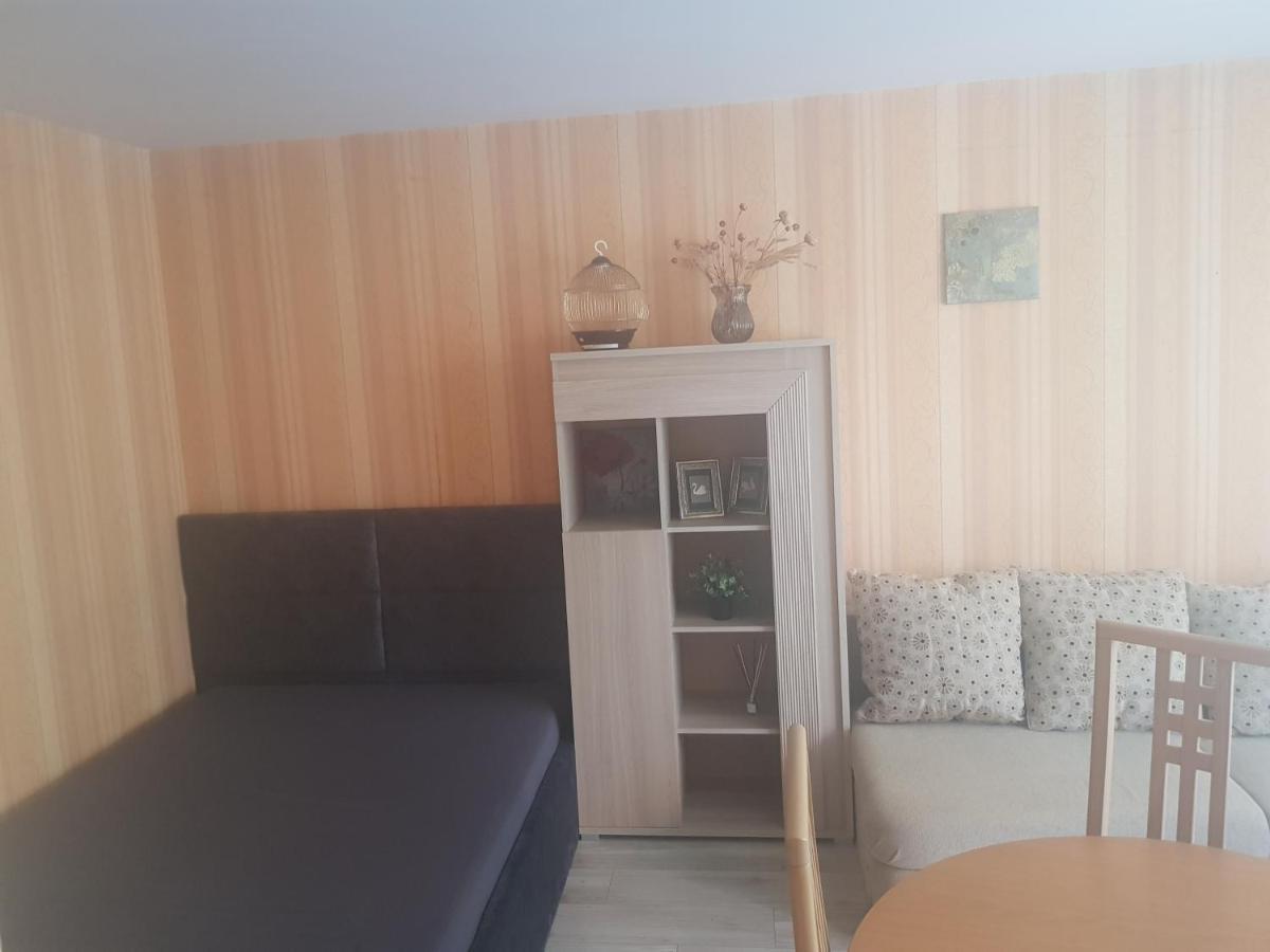 Danes Apartment By The River Klaipeda Bagian luar foto